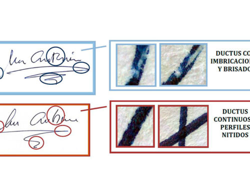 DETERMINACIÓN DE AUTENTICIDAD O FALSEDAD DE FIRMAS.