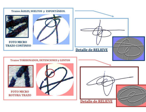 DETERMINACIÓN DE AUTENTICIDAD O FALSEDAD DE RÚBRICA O FIRMA ILEGIBLE