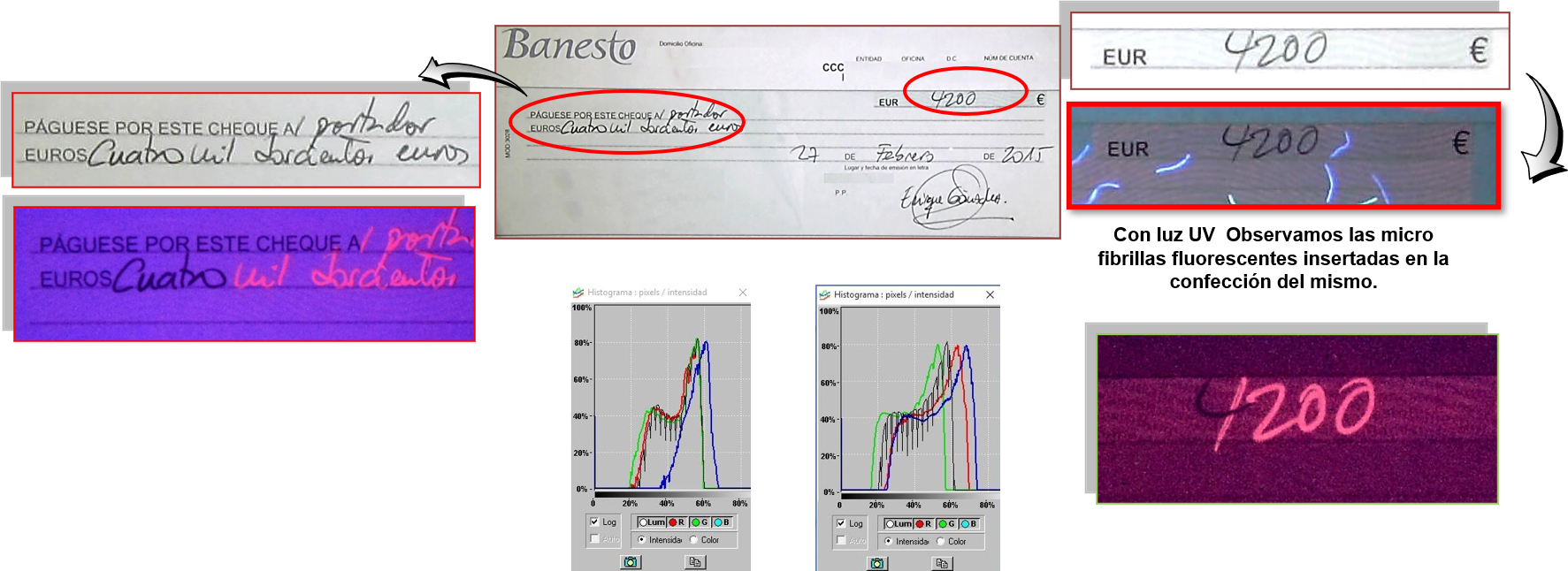 10. Métodos para el análisis y la clasificación de las tintas.